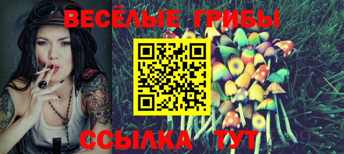 Галлюциногенные грибы Magic Shrooms  Псилоцибиновые грибы прущие грибы  Благодарный  Вход с VPN 